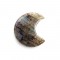 Λαμπραδορίτης σε σχήμα Σελήνης (Labradorite)